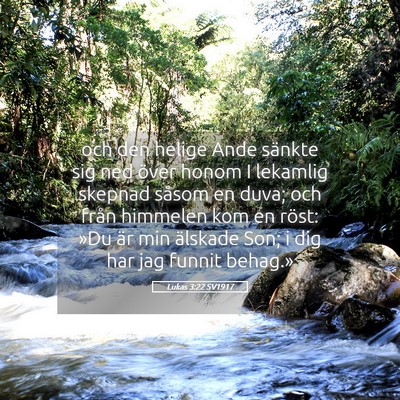 Picture 05 - Lukas 3:22 SV1917 - och den helige Ande sänkte sig ned över honom I - Bible Verse Picture