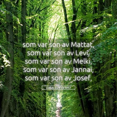 Picture 05 - Lukas 3:24 SV1917 - som var son av Mattat, som var son av Levi, som - Bible Verse Picture