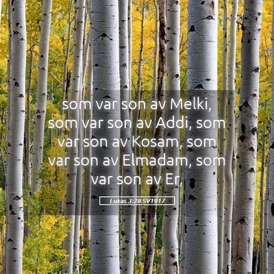 Picture 05 - Lukas 3:28 SV1917 - som var son av Melki, som var son av Addi, som - Bible Verse Picture