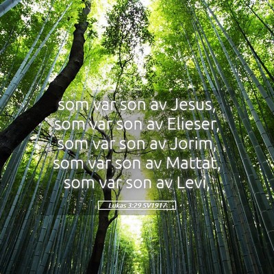Picture 05 - Lukas 3:29 SV1917 - som var son av Jesus, som var son av Elieser, som - Bible Verse Picture