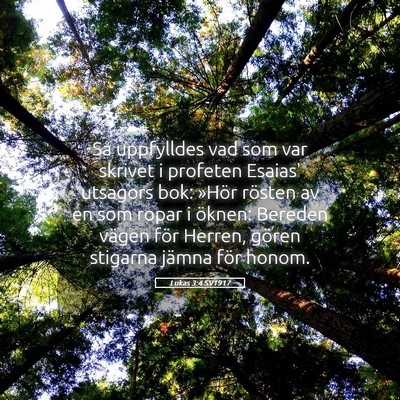 Picture 05 - Lukas 3:4 SV1917 - Så uppfylldes vad som var skrivet i profeten - Bible Verse Picture