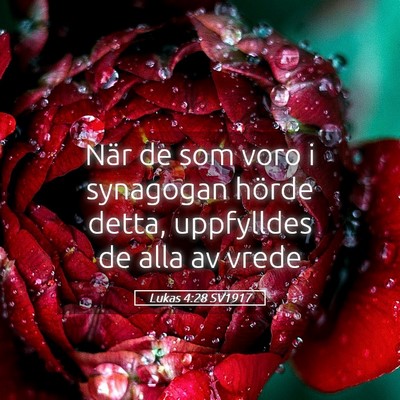 Picture 05 - Lukas 4:28 SV1917 - När de som voro i synagogan hörde detta, - Bible Verse Picture