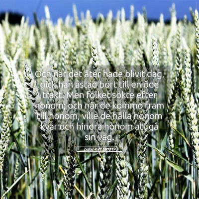 Picture 05 - Lukas 4:42 SV1917 - Och när det åter hade blivit dag, gick han - Bible Verse Picture