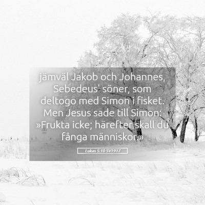 Picture 05 - Lukas 5:10 SV1917 - jämväl Jakob och Johannes, Sebedeus' söner, - Bible Verse Picture