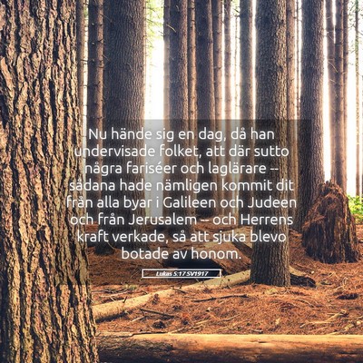 Picture 05 - Lukas 5:17 SV1917 - Nu hände sig en dag, då han undervisade folket, - Bible Verse Picture