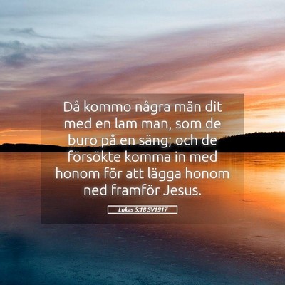 Picture 05 - Lukas 5:18 SV1917 - Då kommo några män dit med en lam man, som de - Bible Verse Picture
