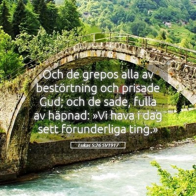 Picture 05 - Lukas 5:26 SV1917 - Och de grepos alla av bestörtning och prisade - Bible Verse Picture