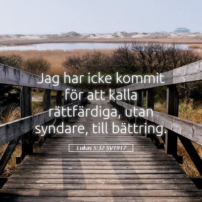 Picture 05 - Lukas 5:32 SV1917 - Jag har icke kommit för att kalla rättfärdiga, - Bible Verse Picture