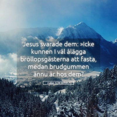 Picture 05 - Lukas 5:34 SV1917 - Jesus svarade dem: »Icke kunnen I väl ålägga - Bible Verse Picture