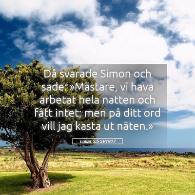 Picture 05 - Lukas 5:5 SV1917 - Då svarade Simon och sade: »Mästare, vi hava - Bible Verse Picture