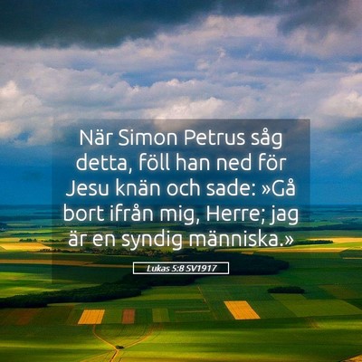 Picture 05 - Lukas 5:8 SV1917 - När Simon Petrus såg detta, föll han ned för - Bible Verse Picture