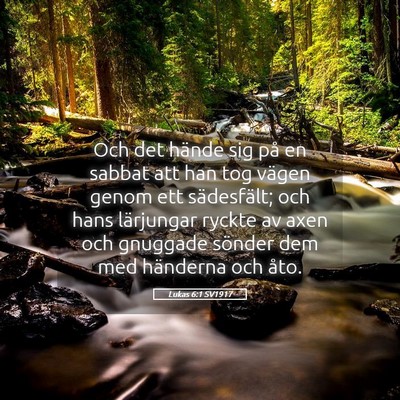 Picture 05 - Lukas 6:1 SV1917 - Och det hände sig på en sabbat att han tog - Bible Verse Picture