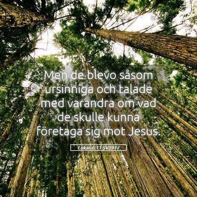 Picture 05 - Lukas 6:11 SV1917 - Men de blevo såsom ursinniga och talade med - Bible Verse Picture