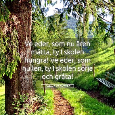 Picture 05 - Lukas 6:25 SV1917 - Ve eder, som nu ären mätta, ty I skolen hungra! - Bible Verse Picture