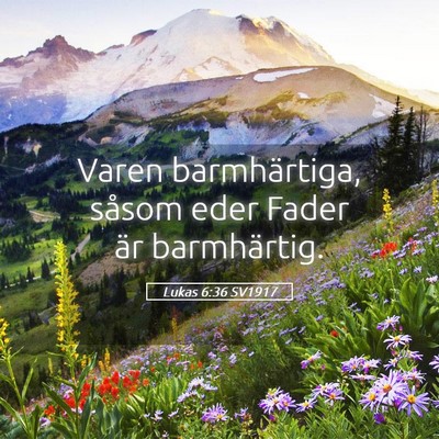 Picture 05 - Lukas 6:36 SV1917 - Varen barmhärtiga, såsom eder Fader är - Bible Verse Picture