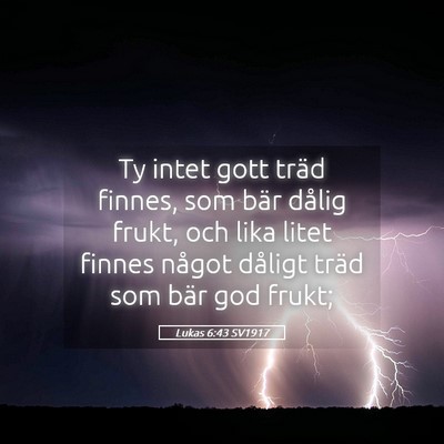 Picture 05 - Lukas 6:43 SV1917 - Ty intet gott träd finnes, som bär dålig - Bible Verse Picture