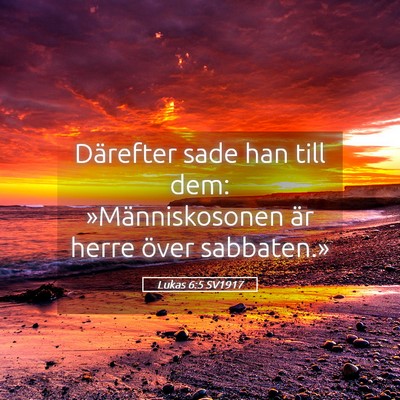 Picture 05 - Lukas 6:5 SV1917 - Därefter sade han till dem: »Människosonen är - Bible Verse Picture