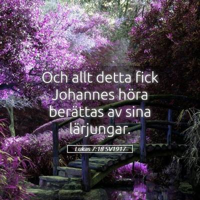 Picture 05 - Lukas 7:18 SV1917 - Och allt detta fick Johannes höra berättas av - Bible Verse Picture