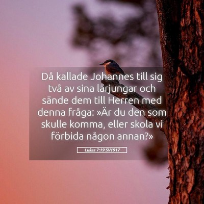 Picture 05 - Lukas 7:19 SV1917 - Då kallade Johannes till sig två av sina - Bible Verse Picture