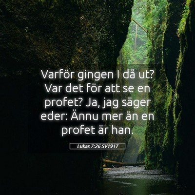 Picture 05 - Lukas 7:26 SV1917 - Varför gingen I då ut? Var det för att se en - Bible Verse Picture