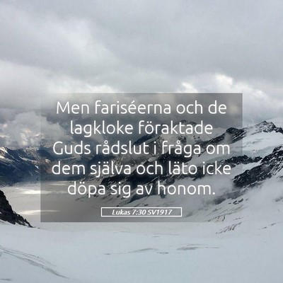 Picture 05 - Lukas 7:30 SV1917 - Men fariséerna och de lagkloke föraktade Guds - Bible Verse Picture