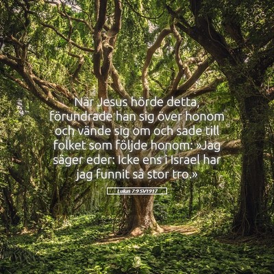 Picture 05 - Lukas 7:9 SV1917 - När Jesus hörde detta, förundrade han sig - Bible Verse Picture