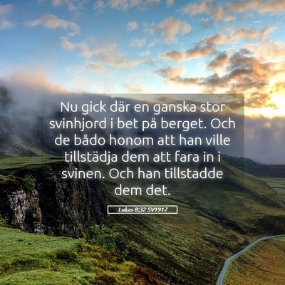 Picture 05 - Lukas 8:32 SV1917 - Nu gick där en ganska stor svinhjord i bet på - Bible Verse Picture