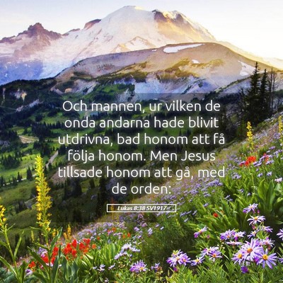 Picture 05 - Lukas 8:38 SV1917 - Och mannen, ur vilken de onda andarna hade blivit - Bible Verse Picture