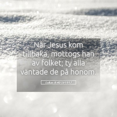 Picture 05 - Lukas 8:40 SV1917 - När Jesus kom tillbaka, mottogs han av folket; - Bible Verse Picture