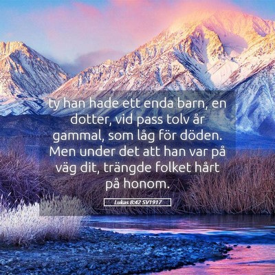 Picture 05 - Lukas 8:42 SV1917 - ty han hade ett enda barn, en dotter, vid pass - Bible Verse Picture