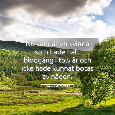 Picture 05 - Lukas 8:43 SV1917 - Nu var där en kvinna som hade haft blodgång i - Bible Verse Picture