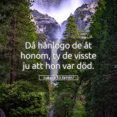 Picture 05 - Lukas 8:53 SV1917 - Då hånlogo de åt honom, ty de visste ju att - Bible Verse Picture