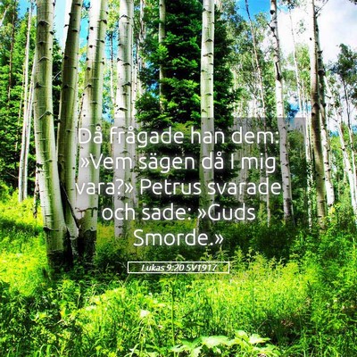 Picture 05 - Lukas 9:20 SV1917 - Då frågade han dem: »Vem sägen då I mig - Bible Verse Picture