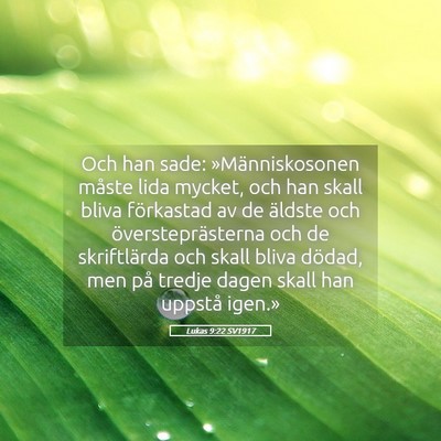 Picture 05 - Lukas 9:22 SV1917 - Och han sade: »Människosonen måste lida - Bible Verse Picture