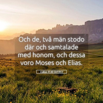 Picture 05 - Lukas 9:30 SV1917 - Och de, två män stodo där och samtalade med - Bible Verse Picture