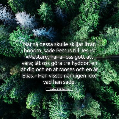 Picture 05 - Lukas 9:33 SV1917 - När så dessa skulle skiljas ifrån honom, sade - Bible Verse Picture