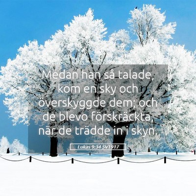 Picture 05 - Lukas 9:34 SV1917 - Medan han så talade, kom en sky och överskyggde - Bible Verse Picture