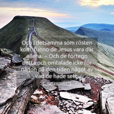 Picture 05 - Lukas 9:36 SV1917 - Och i detsamma som rösten kom, funno de Jesus - Bible Verse Picture