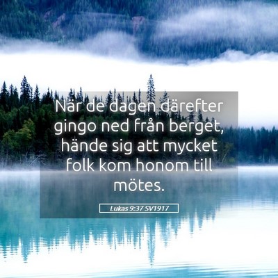 Picture 05 - Lukas 9:37 SV1917 - När de dagen därefter gingo ned från berget, - Bible Verse Picture