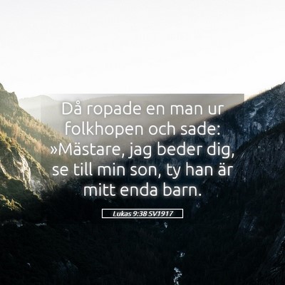 Picture 05 - Lukas 9:38 SV1917 - Då ropade en man ur folkhopen och sade: - Bible Verse Picture