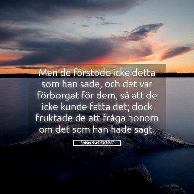 Picture 05 - Lukas 9:45 SV1917 - Men de förstodo icke detta som han sade, och det - Bible Verse Picture
