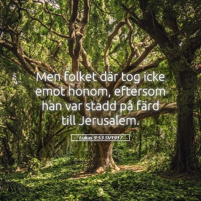 Picture 05 - Lukas 9:53 SV1917 - Men folket där tog icke emot honom, eftersom han - Bible Verse Picture