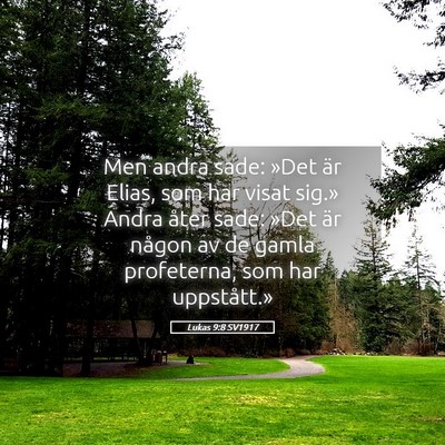 Picture 05 - Lukas 9:8 SV1917 - Men andra sade: »Det är Elias, som har visat - Bible Verse Picture