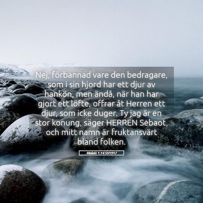 Picture 05 - Malaki 1:14 SV1917 - Nej, förbannad vare den bedragare, som i sin - Bible Verse Picture