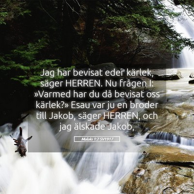 Picture 05 - Malaki 1:2 SV1917 - Jag har bevisat eder kärlek, säger HERREN. Nu - Bible Verse Picture