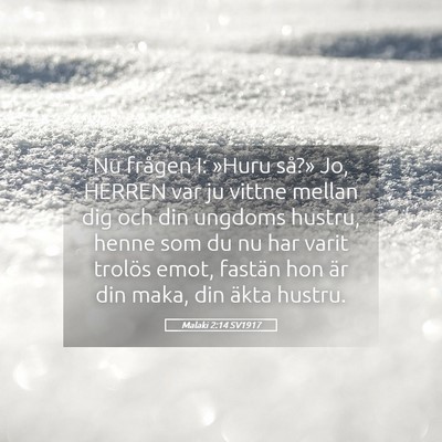 Picture 05 - Malaki 2:14 SV1917 - Nu frågen I: »Huru så?» Jo, HERREN var ju - Bible Verse Picture