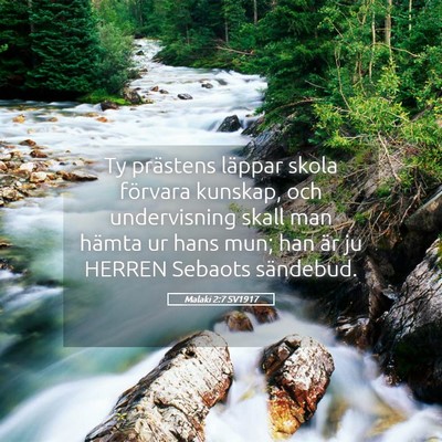 Picture 05 - Malaki 2:7 SV1917 - Ty prästens läppar skola förvara kunskap, och - Bible Verse Picture