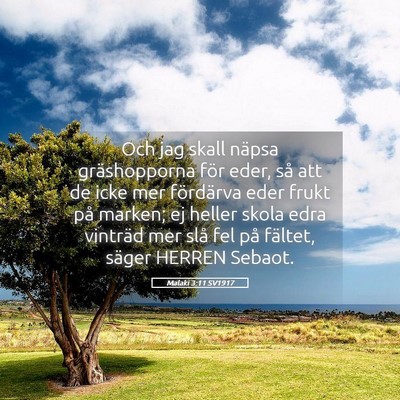 Picture 05 - Malaki 3:11 SV1917 - Och jag skall näpsa gräshopporna för eder, så - Bible Verse Picture