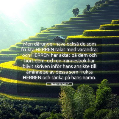 Picture 05 - Malaki 3:16 SV1917 - Men därunder hava också de som frukta HERREN - Bible Verse Picture