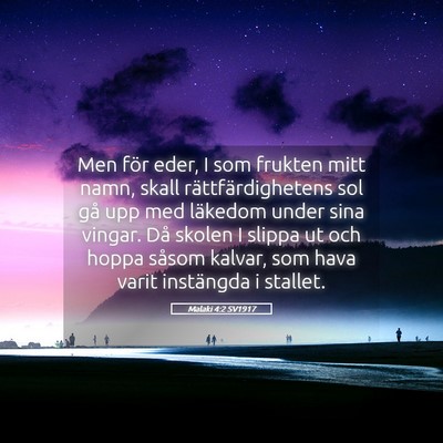 Picture 05 - Malaki 4:2 SV1917 - Men för eder, I som frukten mitt namn, skall - Bible Verse Picture